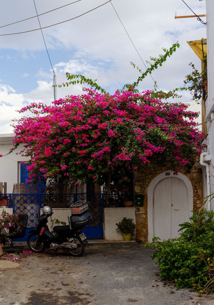 Photograph by Oleg Yashin