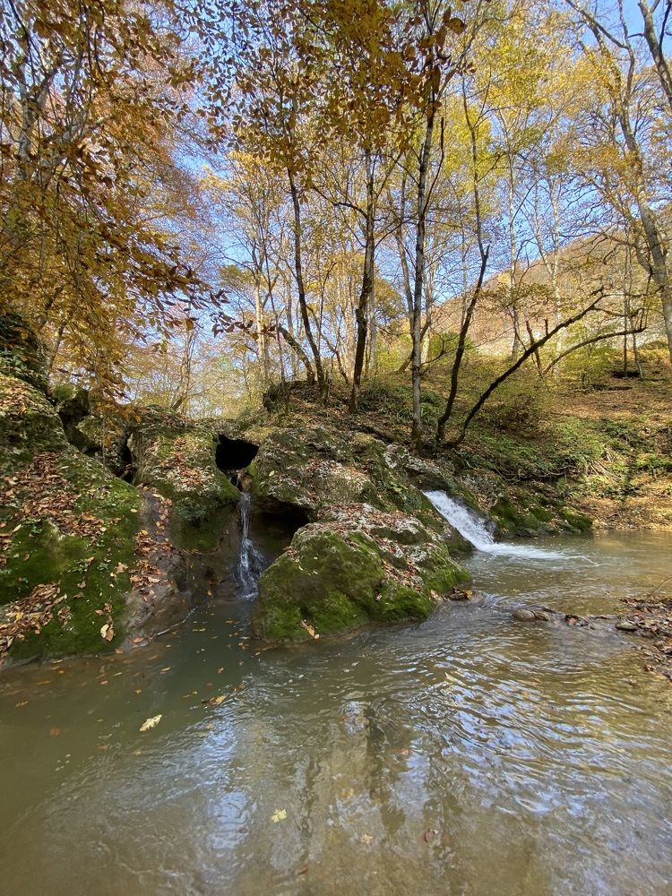 Photograph by Алиса Лукина