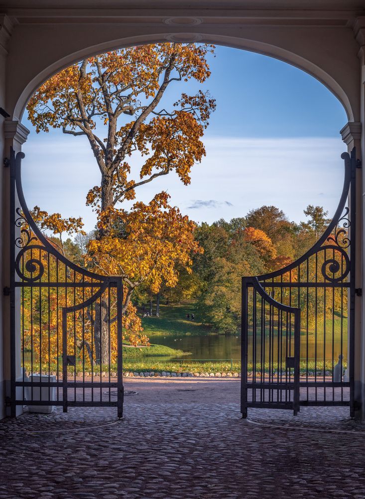 Фотография автора Васильев Андрей