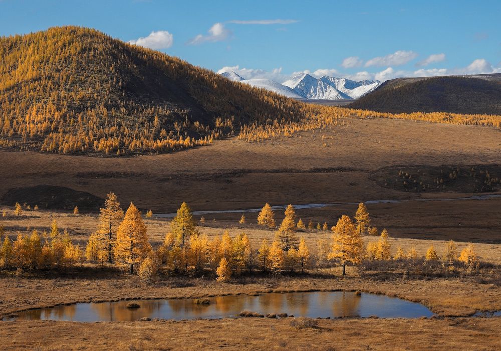 Photograph by Александр Попов