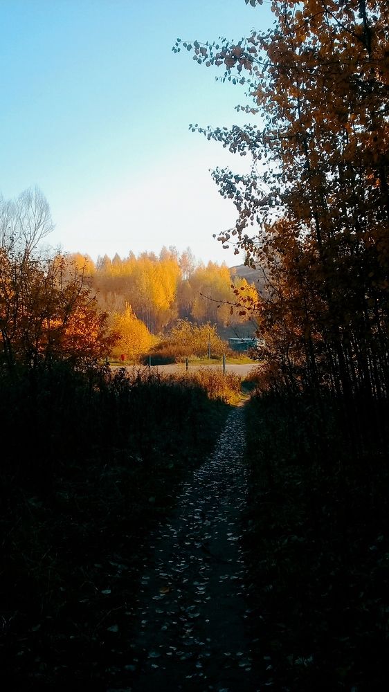 Фотография автора Наталия Барнева