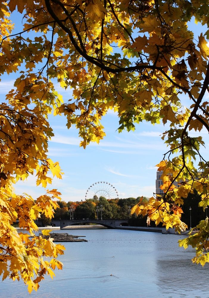 Photograph by Татьяна Сычёва