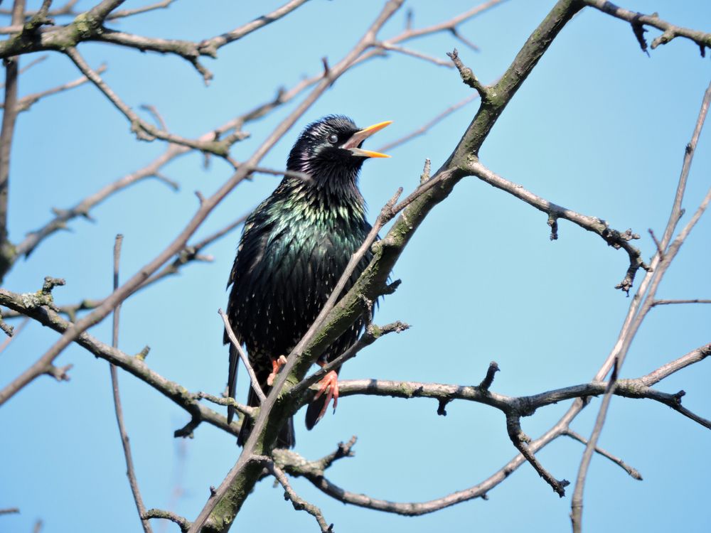 Photograph by Tatiana