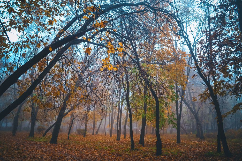 Photograph by Катерина Сорокина