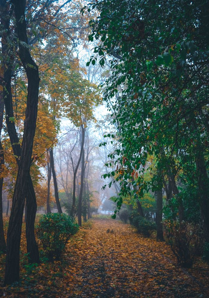 Photograph by Катерина Сорокина