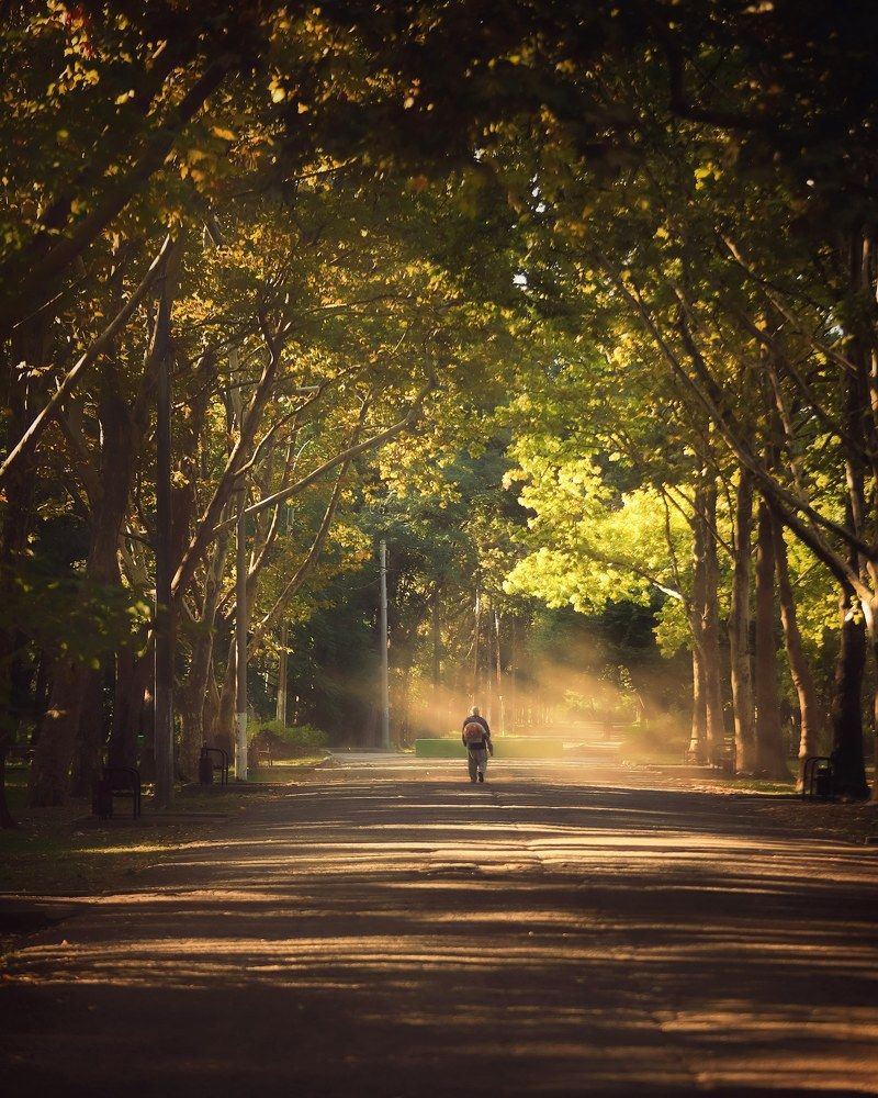 Утро в парке Солнечного острова. Краснодар