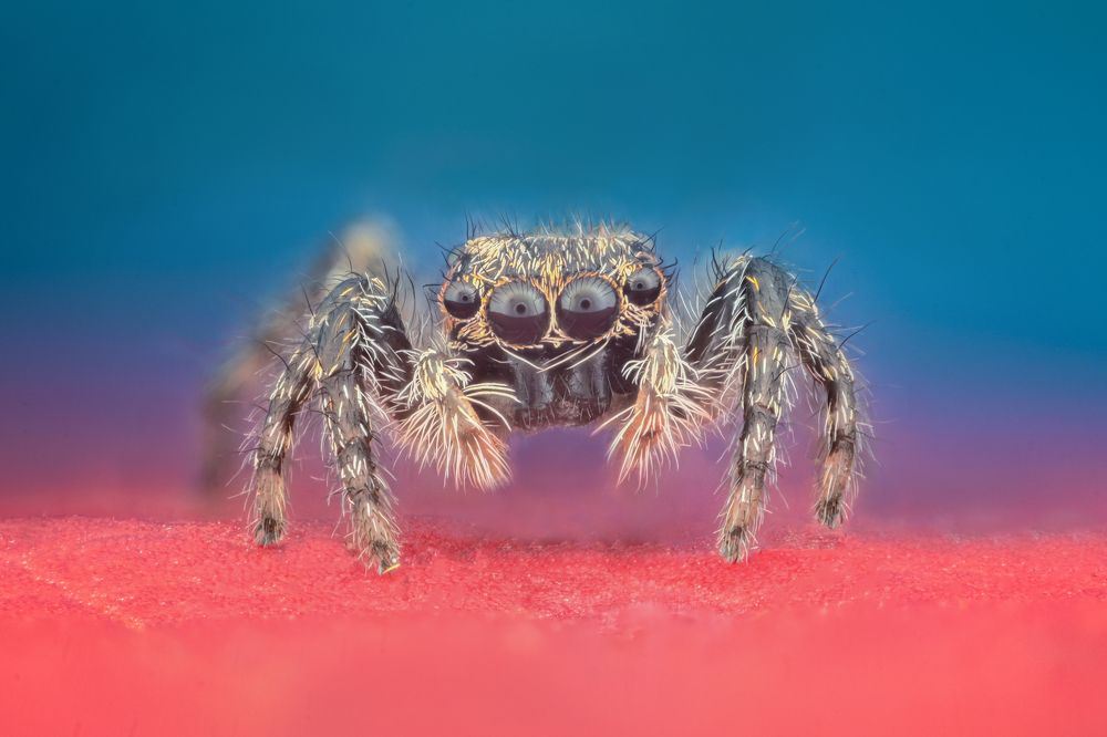 Photograph by Цветан Ганев