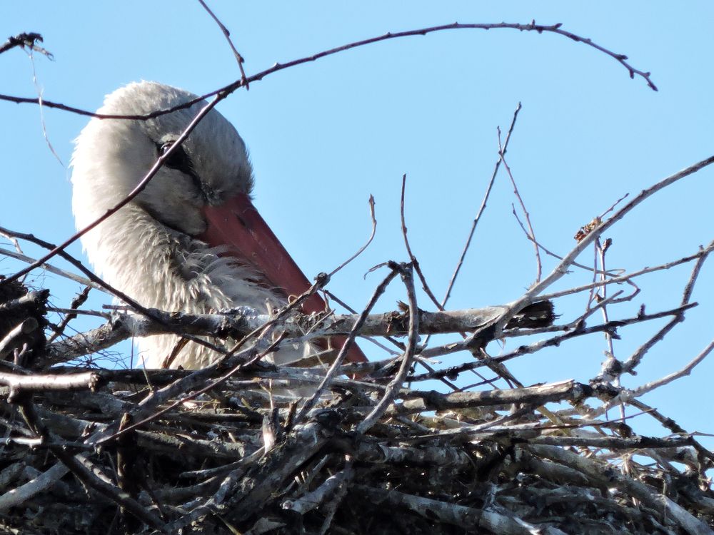 Photograph by Tatiana