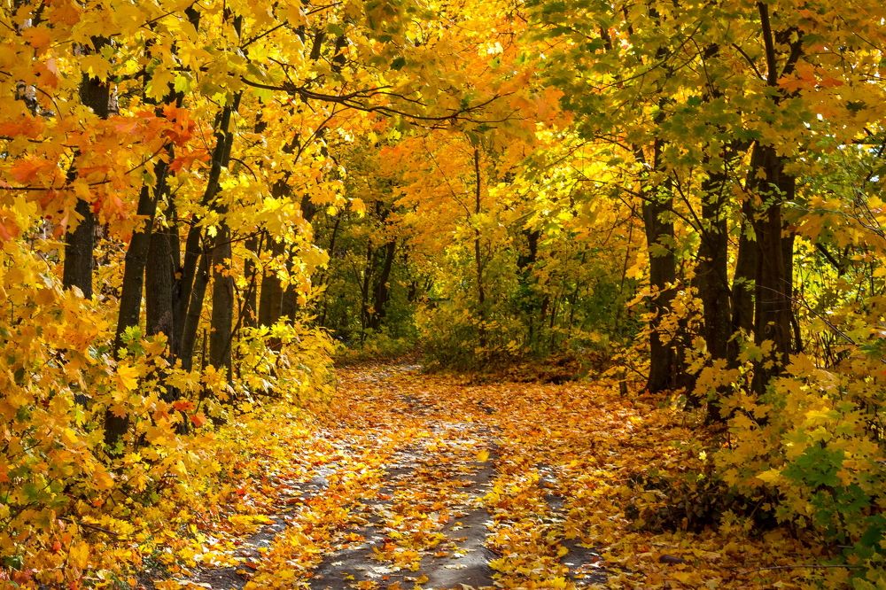 Photograph by Юрий Морозов