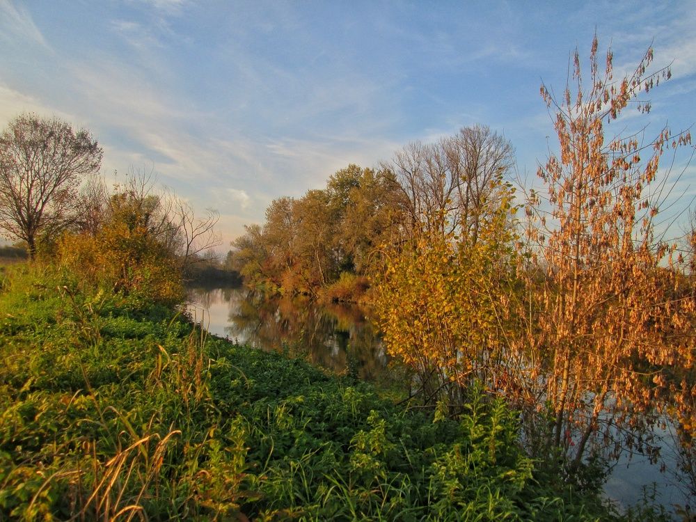 Photograph by Dragoslav M