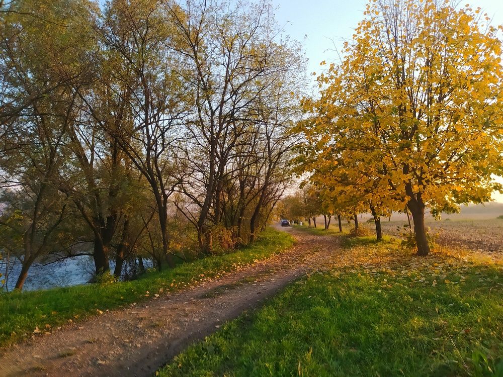 Photograph by Dragoslav M