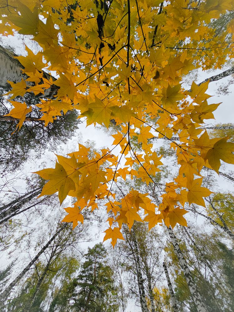 Photograph by Сергей Кесаев