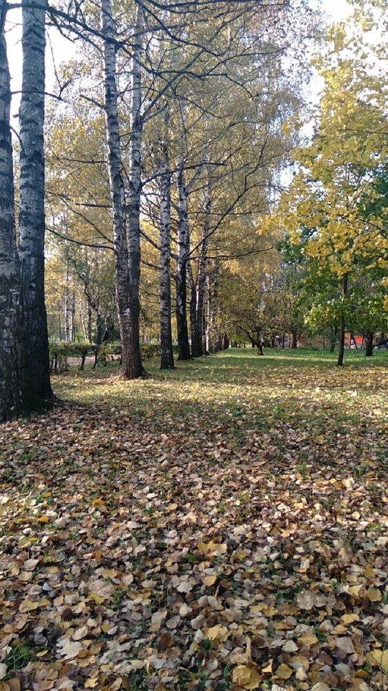 Photograph by Ася Кузьмина