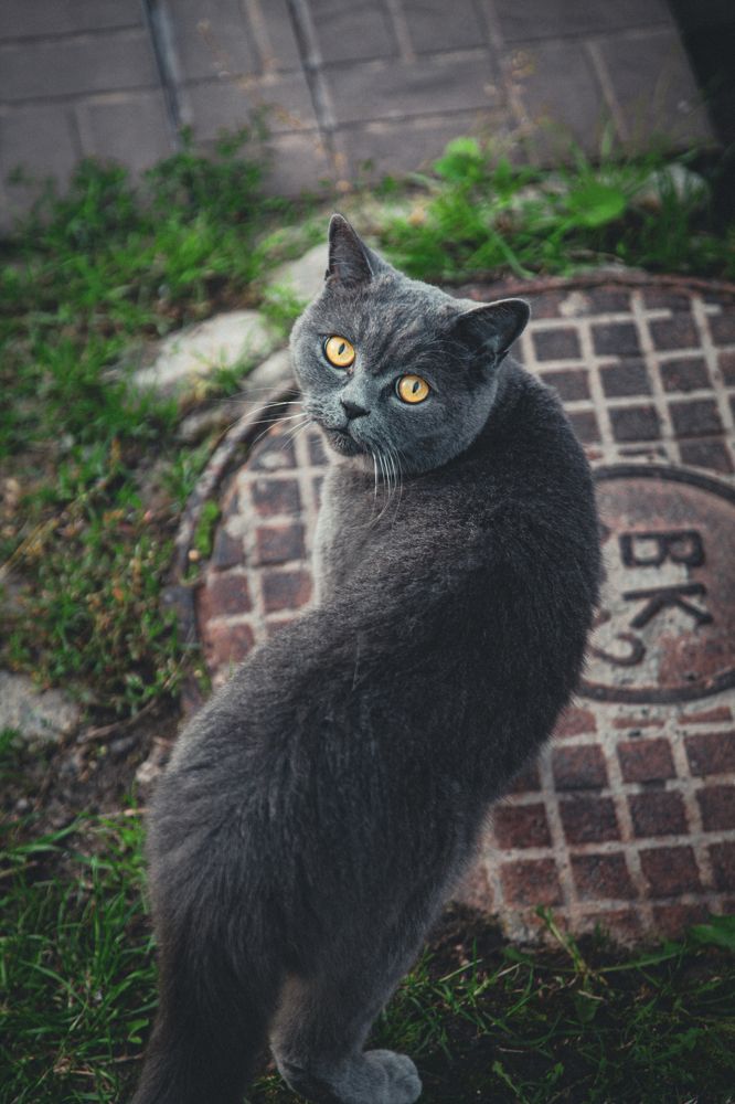 Photograph by Екатерина Кулакова