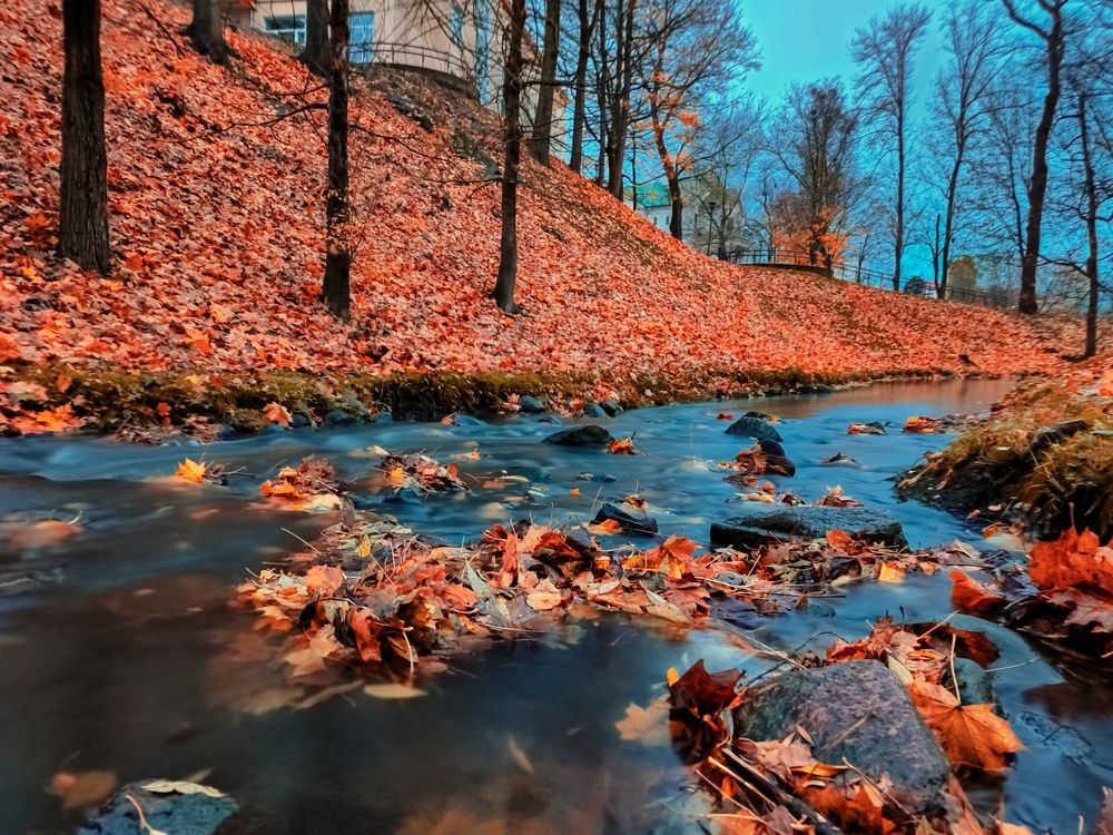 Photograph by Вадим Кумпяк