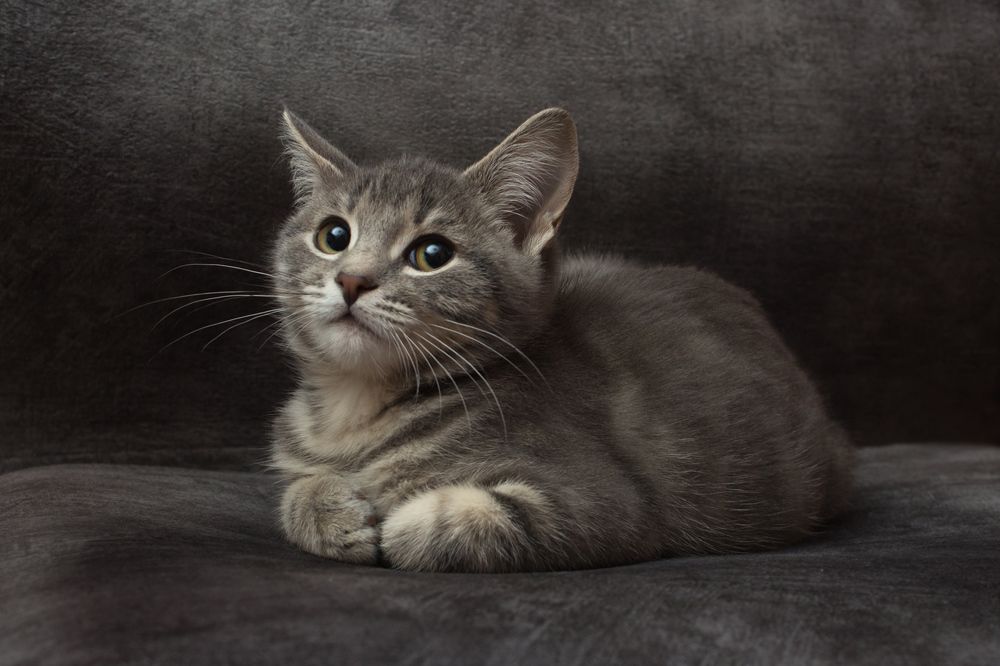 Photograph by Сергей Алексеев