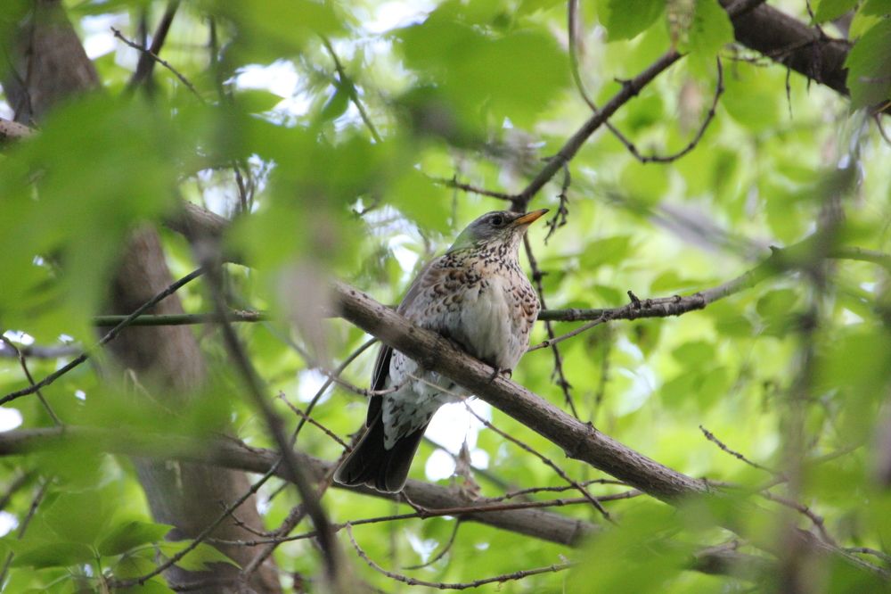 Photograph by Алексей Бирин