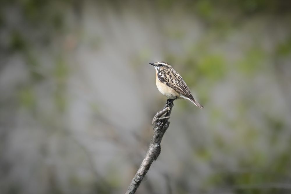 Photograph by Ignatov Yury