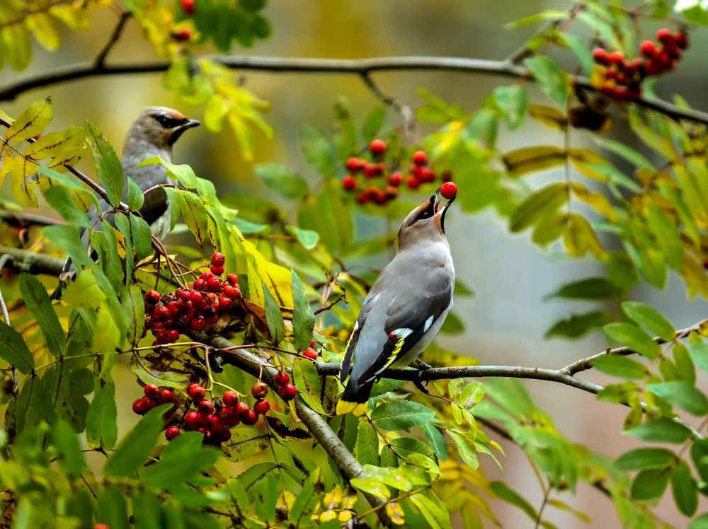 Photograph by Валентин Кузьмин