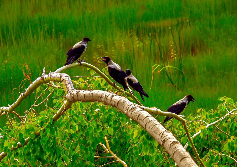 Photograph by Валентин Кузьмин