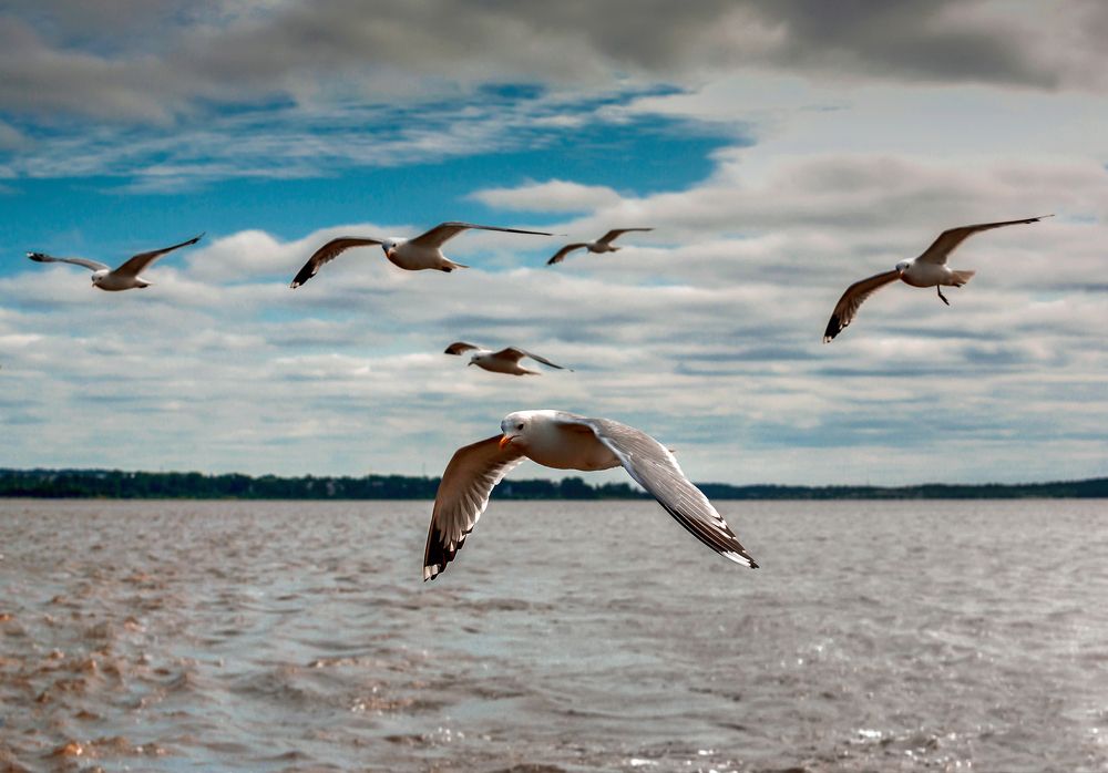 Photograph by Валентин Кузьмин