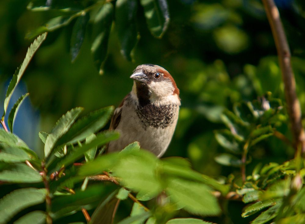 Photograph by Валентин Кузьмин