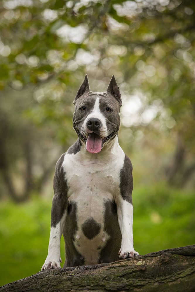 Photograph by Ледок Галина