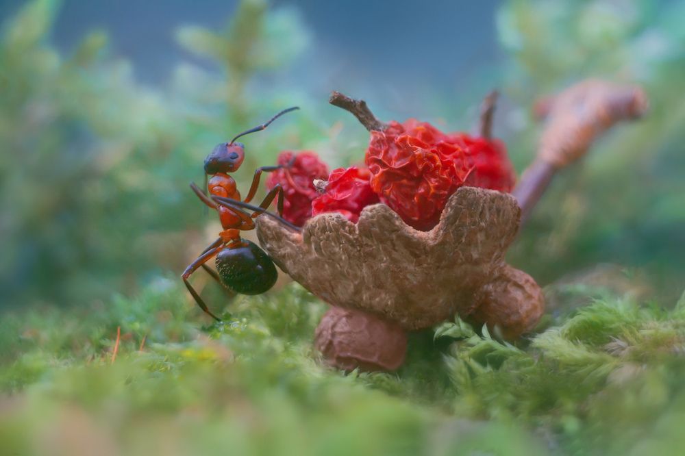 Ой, полна, полна коробушка...