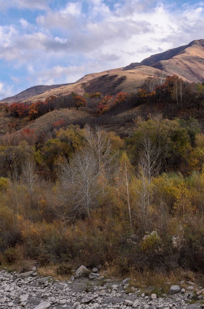 Photograph by Farkhad