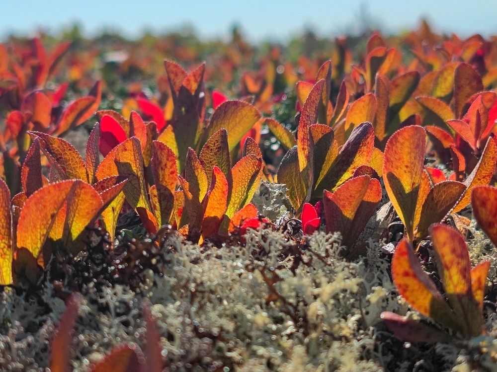 Photograph by Екатерина Харитонова