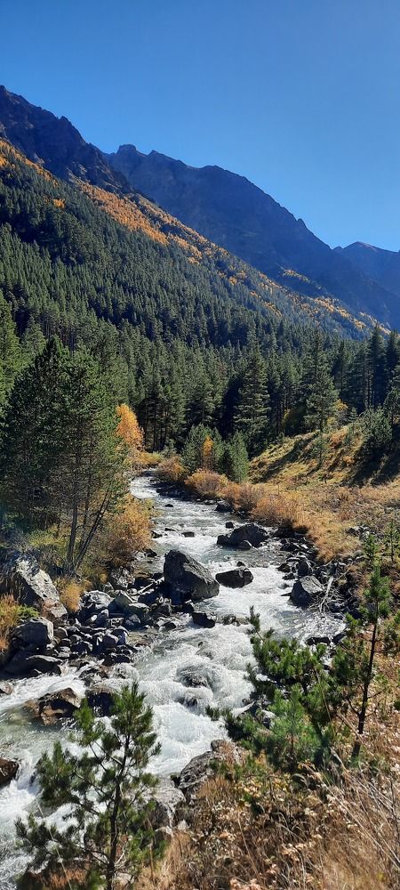 Photograph by Елена Валерьевна