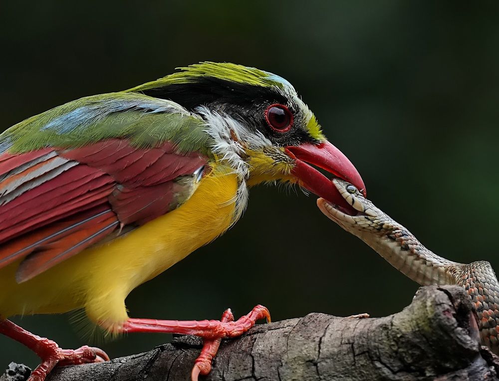 Photograph by Kan Chung Wong