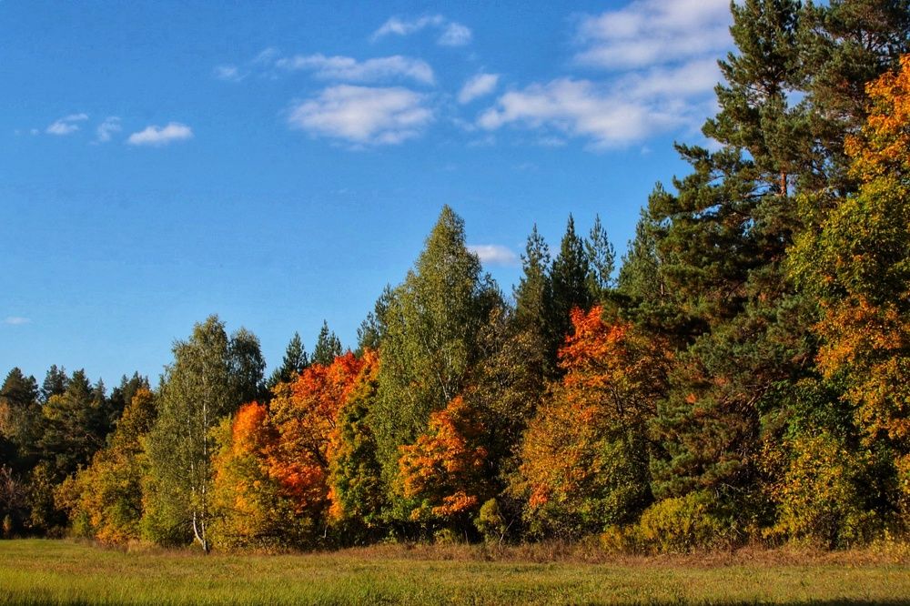 Photograph by Елена Рудкевич