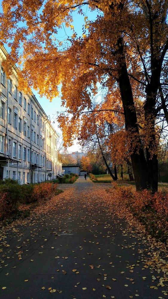 Photograph by Мазымова Елена