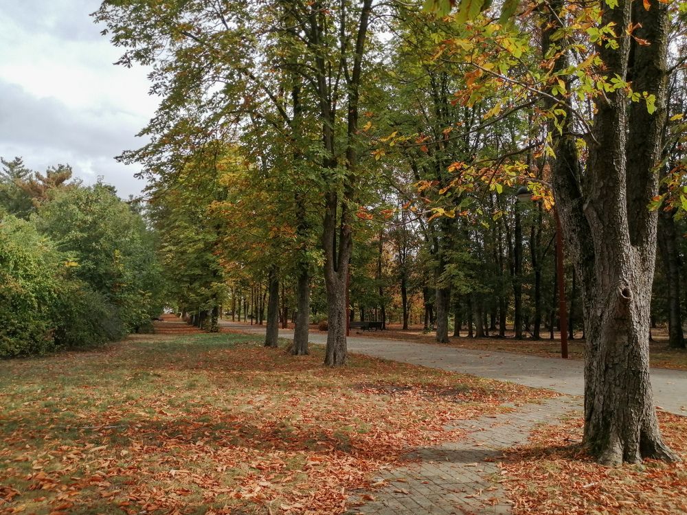 Photograph by Александра Шереметьева