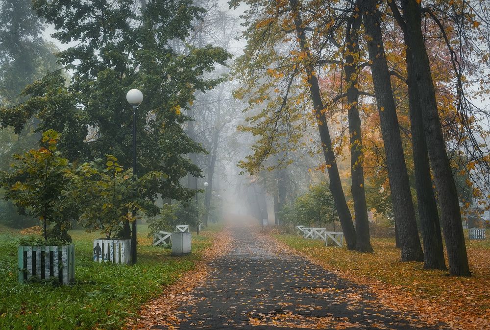 Photograph by Панова Зоя