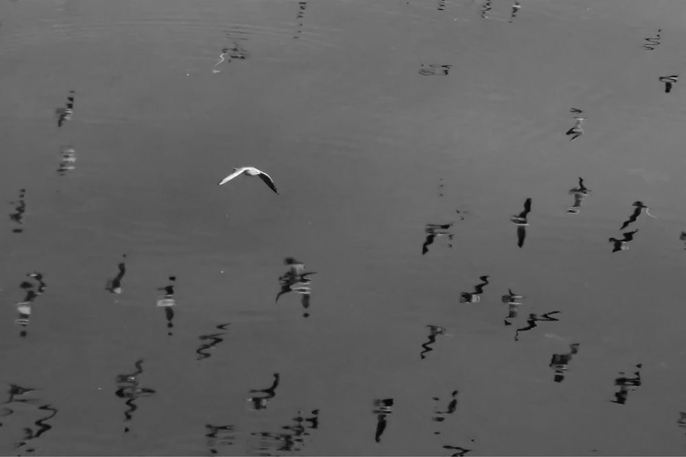 Photograph by keyhan maserat