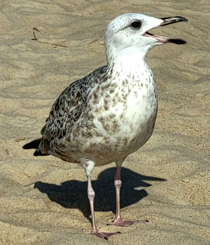 Photograph by Dmitrij Zykunov