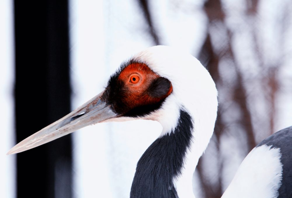 Photograph by Владислав Кравцов