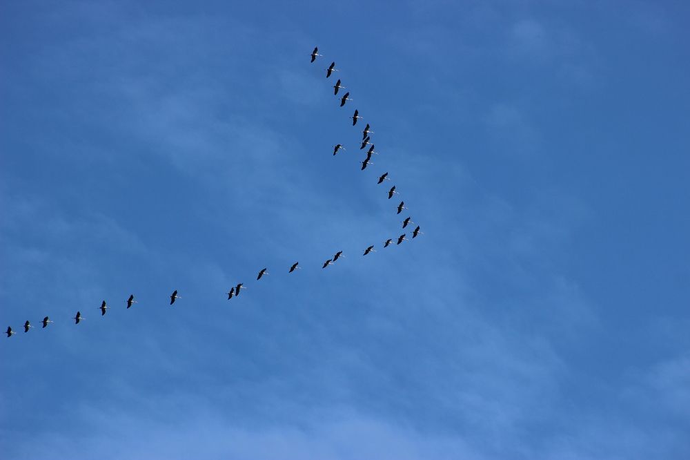 Photograph by Зульфия