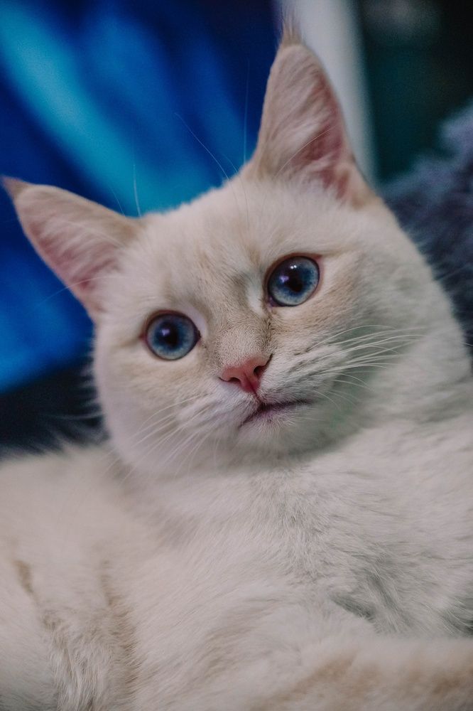 Photograph by Волошенко Елена