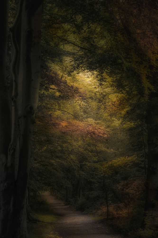 Фотография автора Leompescu Emanuel