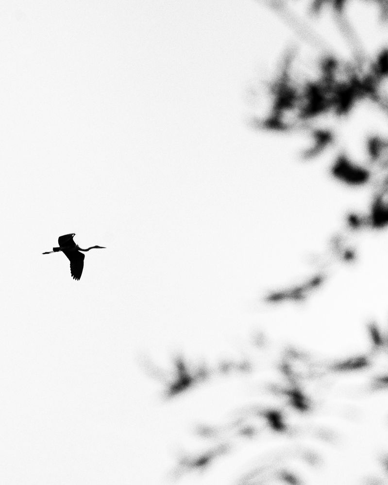 Осень…. Пора в путь…