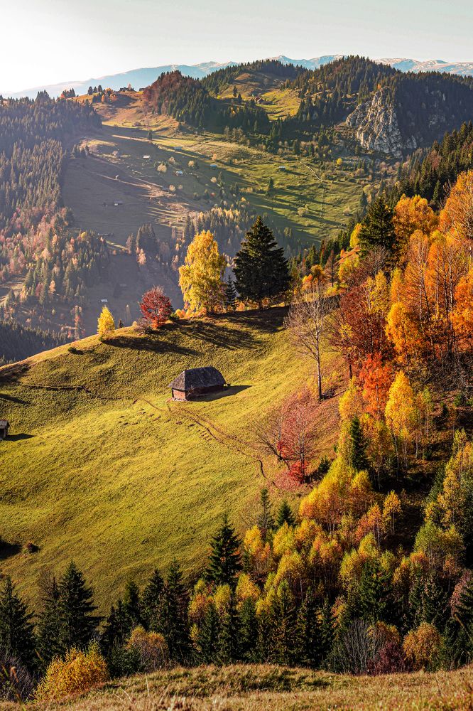 Фотография автора Leompescu Emanuel