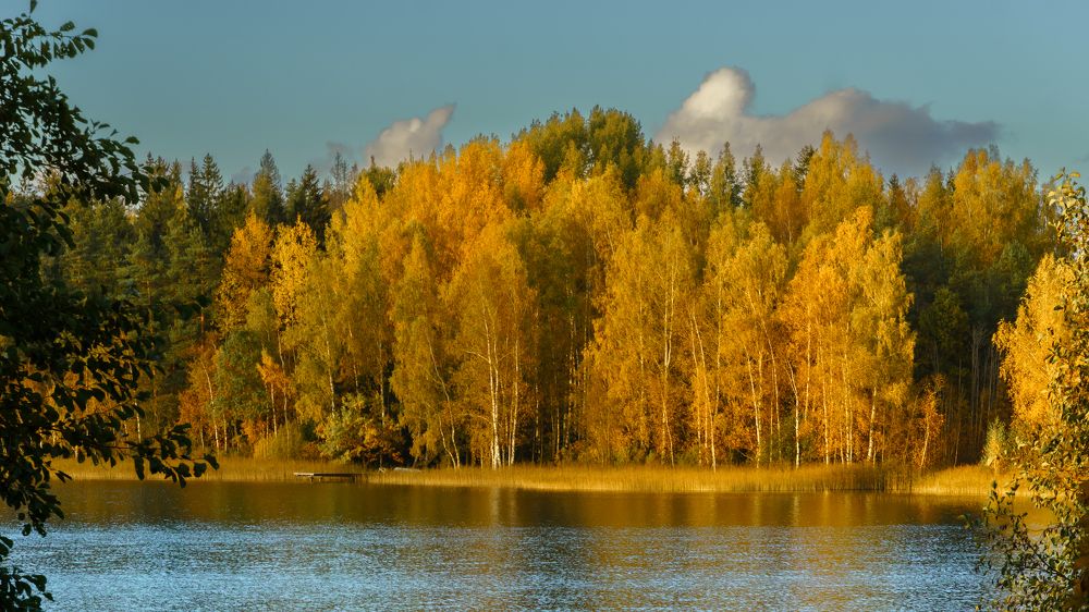 Photograph by Valdis Serzhans