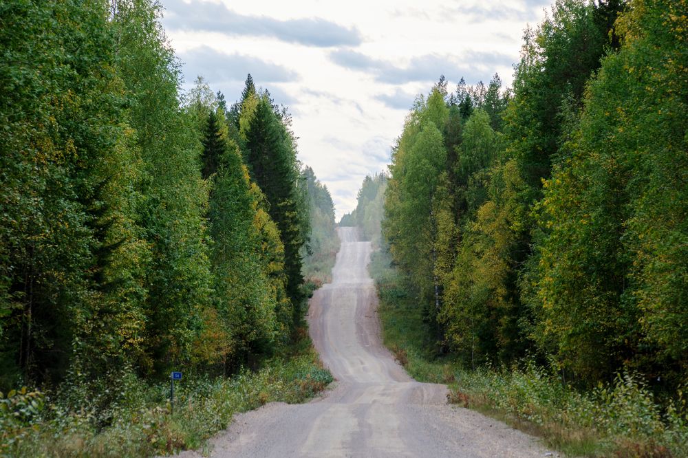 Дорога смерти