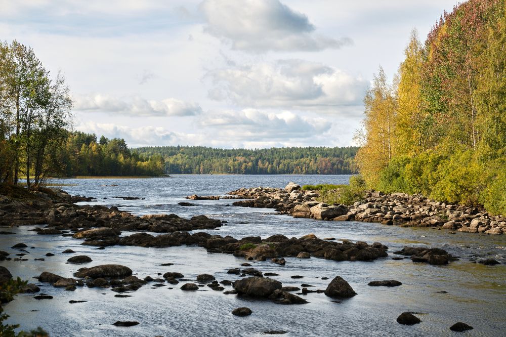 Золотая Карелия