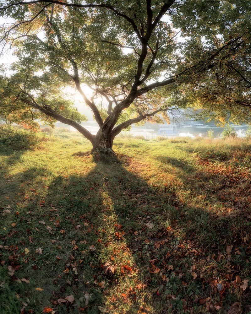 Фотография автора Мартыненко Дмитрий
