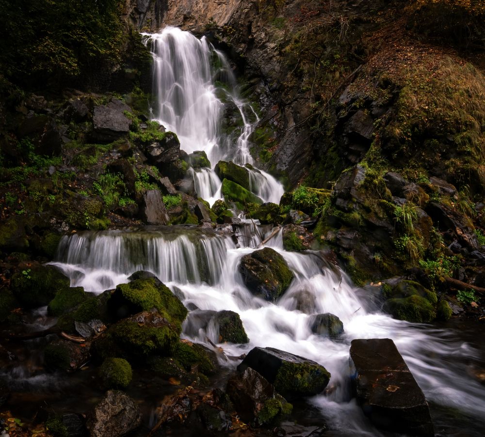 Фотография автора Александр Рудный
