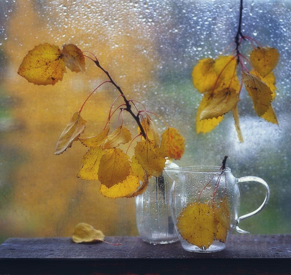 Photograph by Наталия К